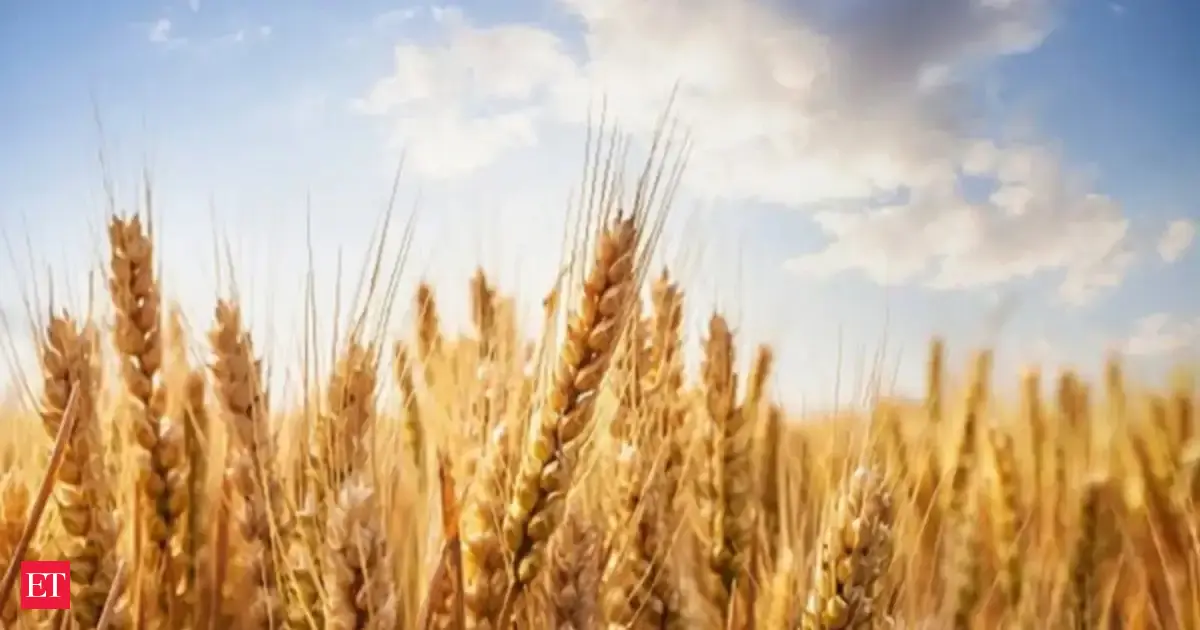 UP allows wheat sale at MSP without online registration