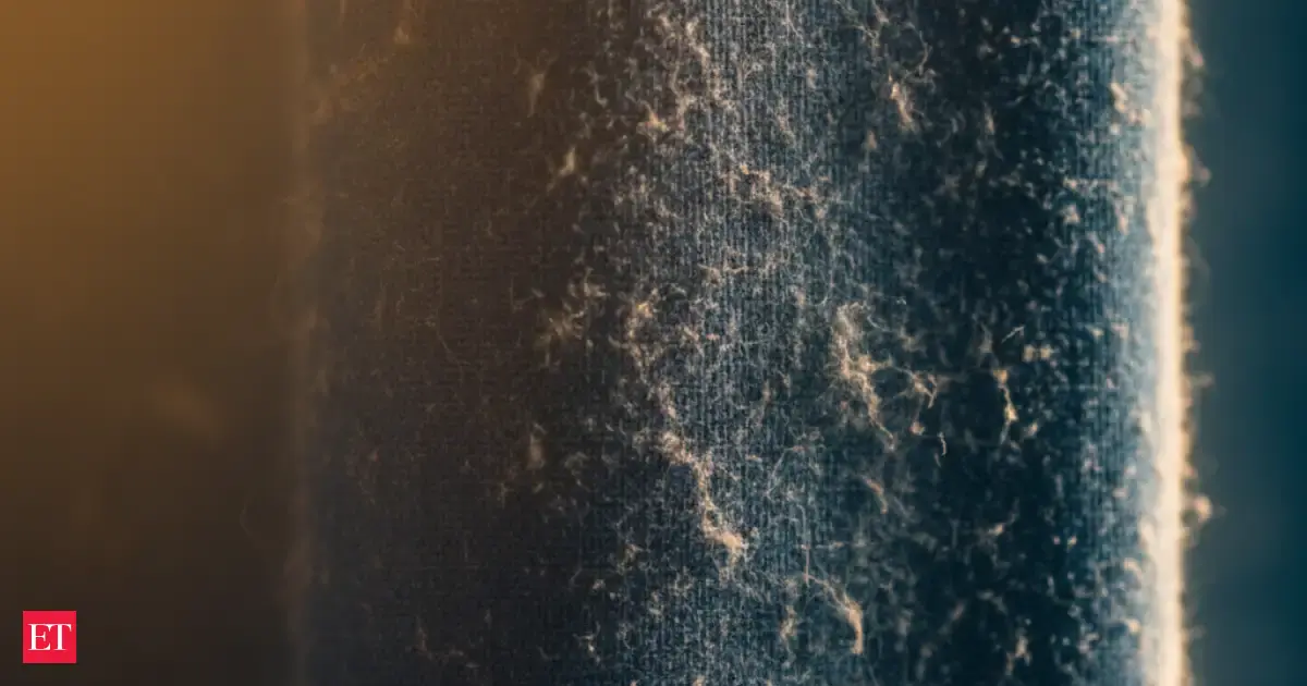 Why Your Curtains Get Dusty So Fast And What’s Really Going On Behind ...