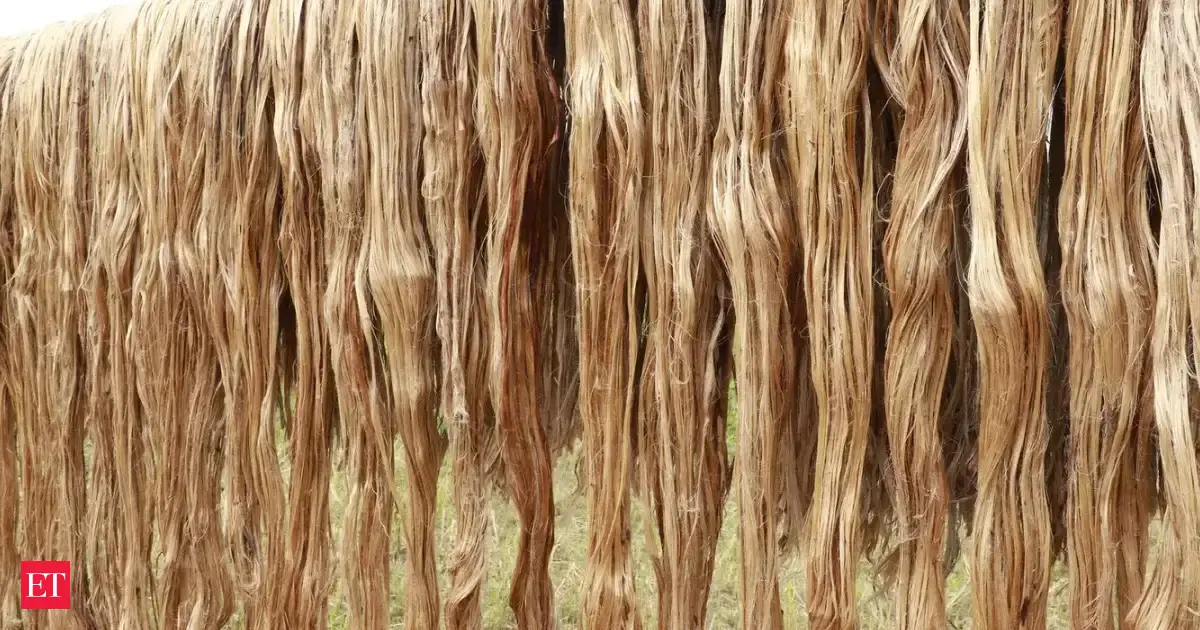 Govt reduces jute stock limits to zero