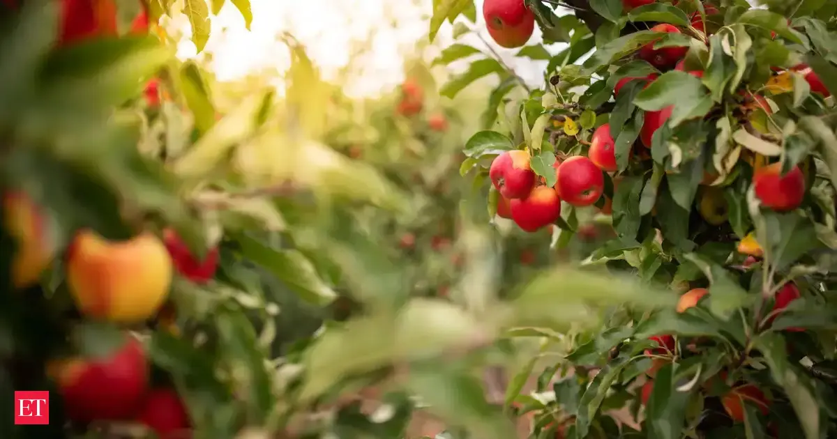 Quality and branding: The twin pillars of India’s global horticulture push