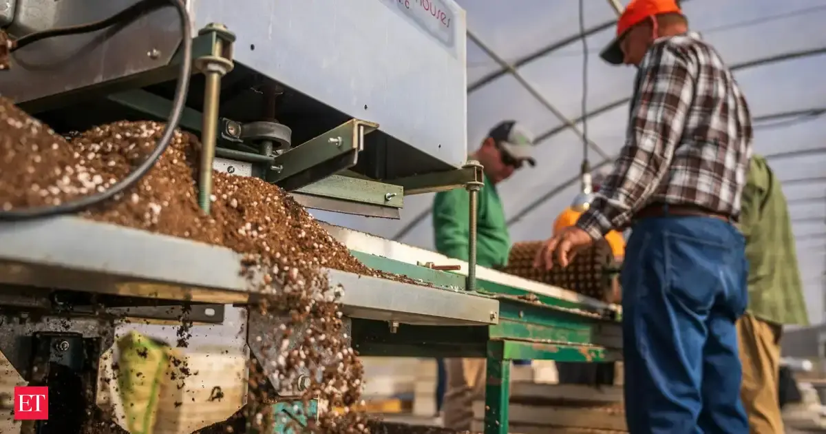 Maharashtra considers rationing of fertilisers, says minister Dattatray Bharane