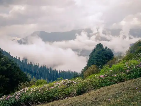 Shoja, Himachal Pradesh