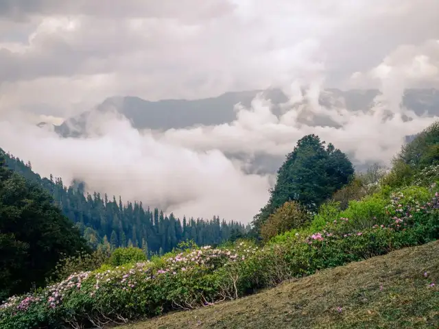 7 cold hill stations near Delhi to escape the summer heat - Great ...