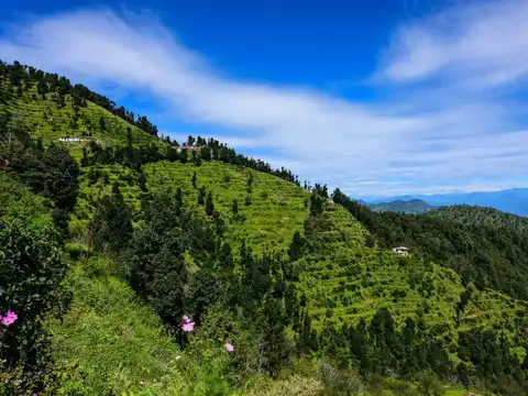 Kanatal, Uttarakhand