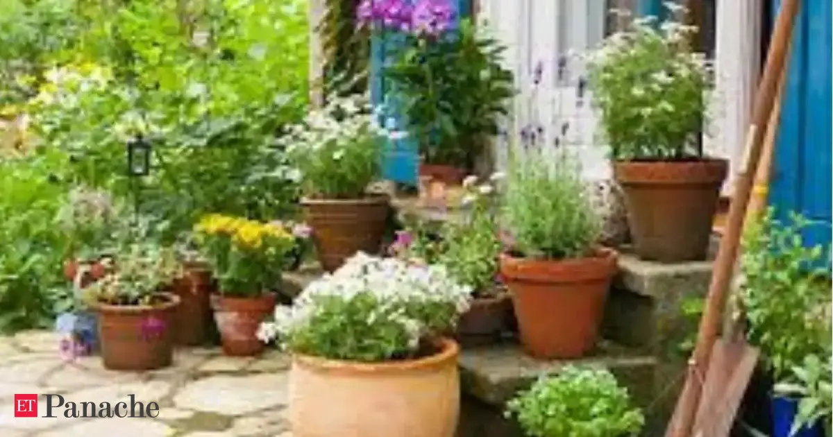 No AC, just pots and plants: How a cafe in Kerala is wowing guests not just with food, but cool atmosphere