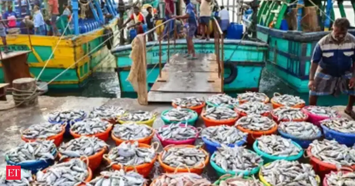 Seafood exports up 11.2% in 2025-26
