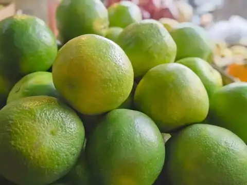 Sweet Lime (Mosambi) &mdash; The Electrolyte King