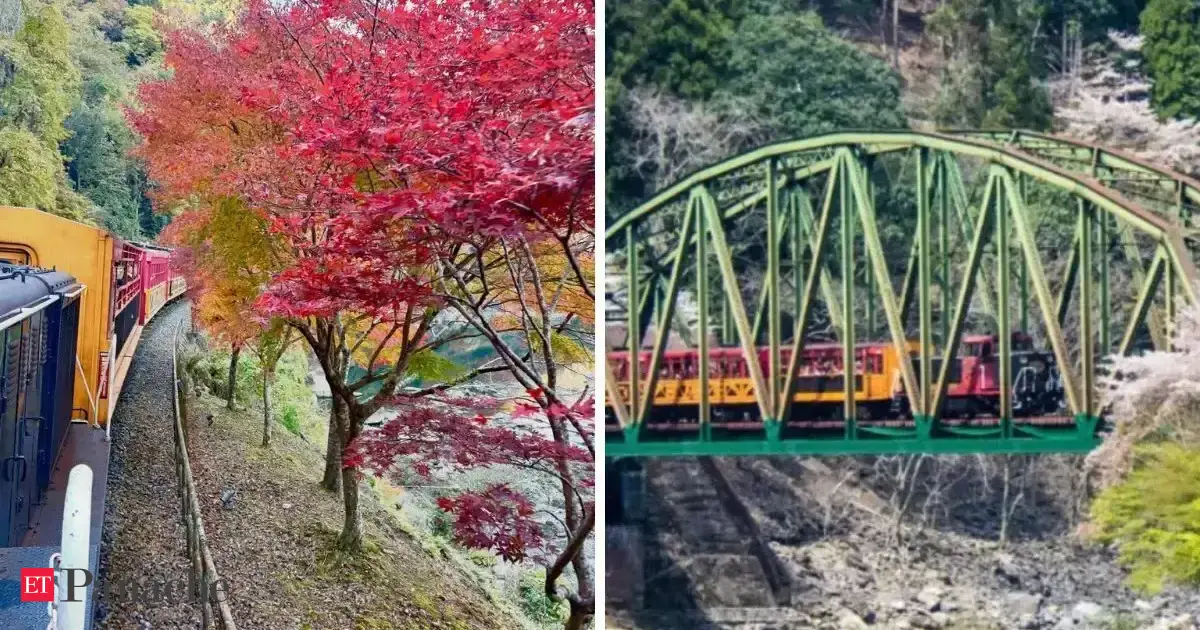 Not in Switzerland. This train trip in summers named world’s most scenic journey - Cherry blossoms, lush forests, majestic mountains