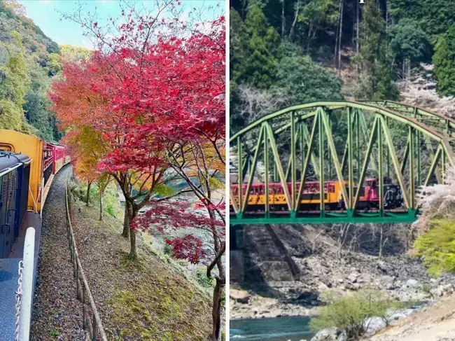 'World's most scenic journey': This train ride in Japan has open ...