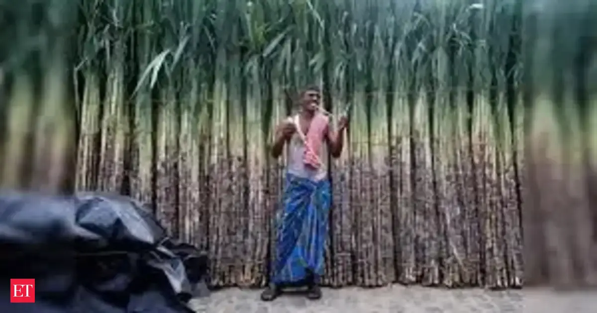 Govt overhauls six-decade-old sugarcane law; seeks comments on draft by May 20