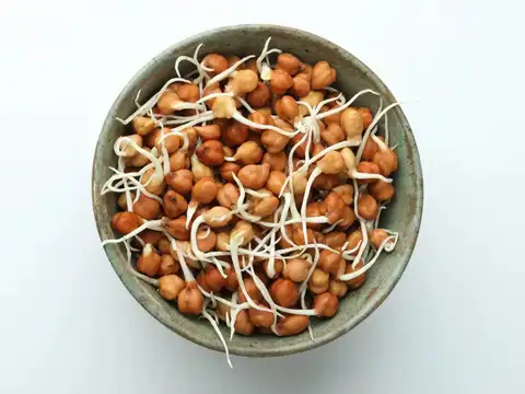 Sprouted Kala Chana (Black Chickpea) Salad