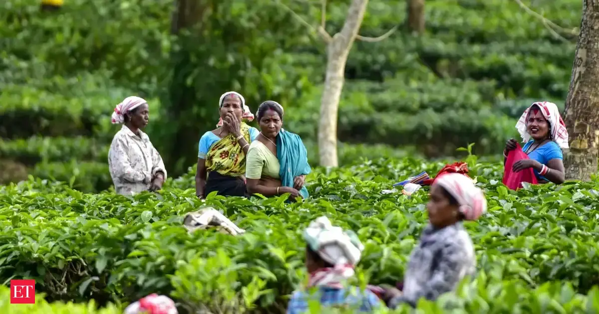 The simple yet powerful plan India could follow to ward off impacts of Iran-like disasters