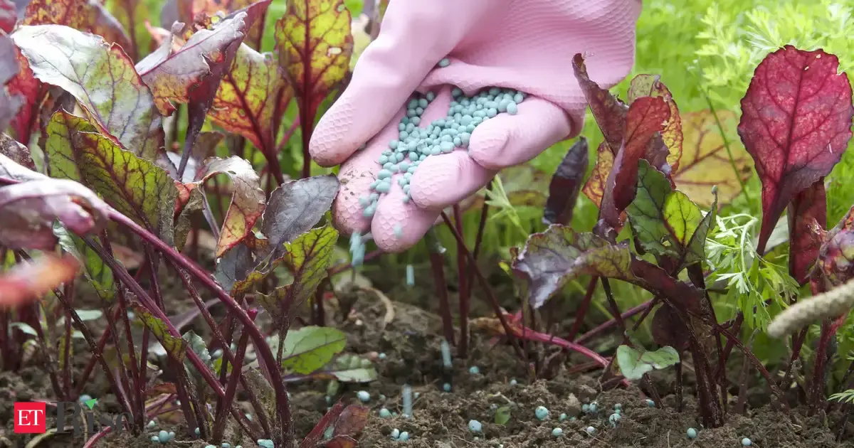 China pledges to stabilize fertilizer market as planting begins