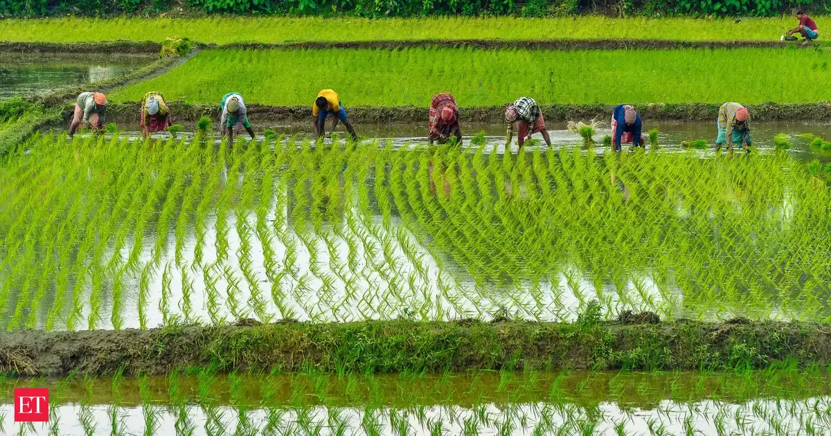 Climate-resilient farming in the age of extremes