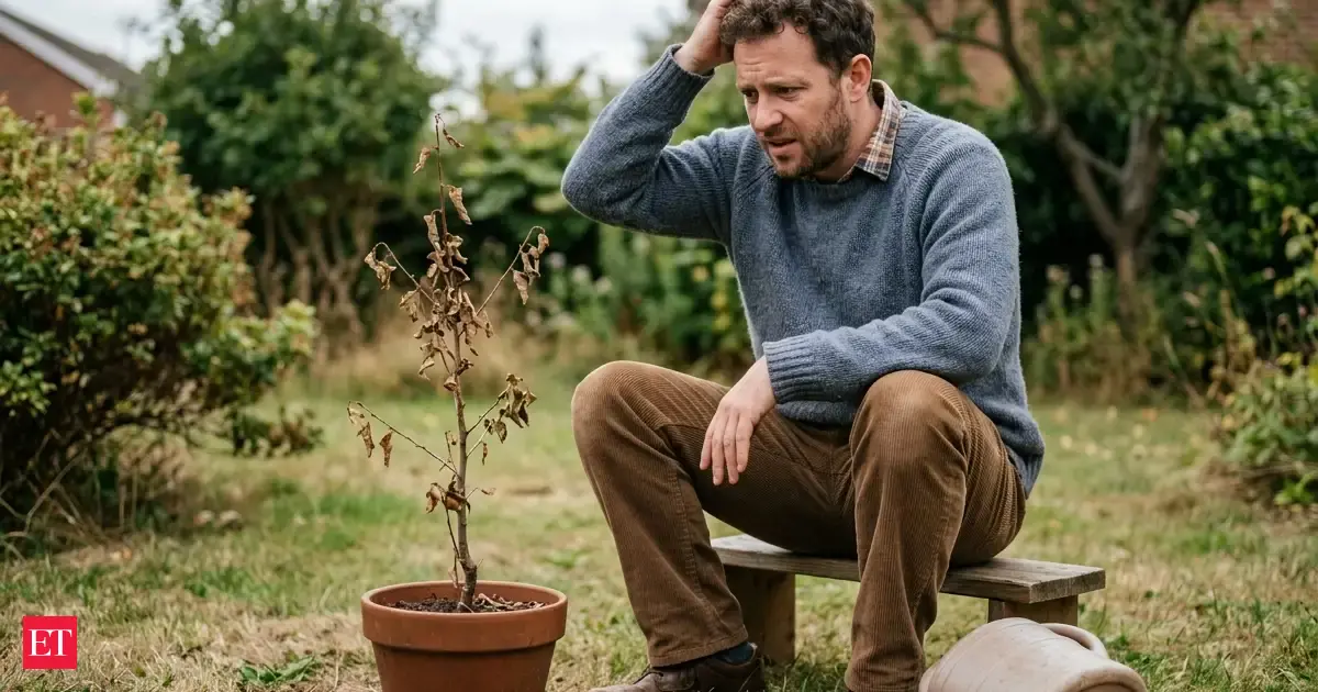 African proverb of the day: 'A feeble effort will not fulfill...' Lessons on success, dedication, human nature and why is it not beneficial to just do the bare minimum