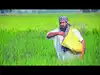 India needs to reduce the strategic importance of fertilisers through a bold agricultural policy
