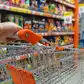 Image for Marico, Radico Khaitan in focus as FMCG 