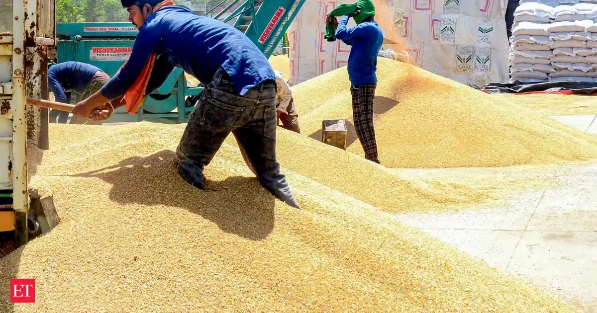 India allows 25 lakh tonnes additional wheat exports, total reaches 50 lakh tonnes
