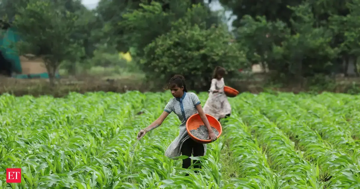 India's farm output hits record 357 million tonnes in 2024-25: J&amp;K Lieutenant Governor