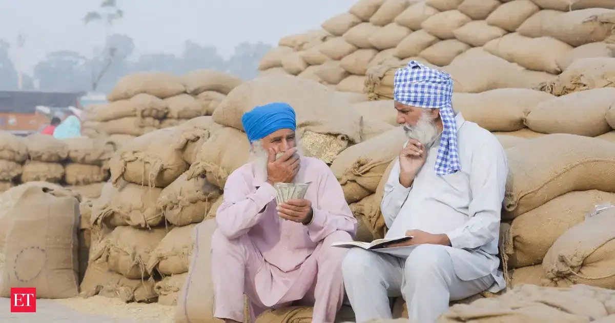 Decoding govt’s wheat strategy: Can higher procurement push and export quota hike lift the sector?