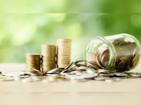 DSP India T.I.G.E.R Fund