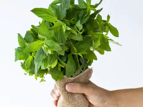 "Herb Bouquet" Method