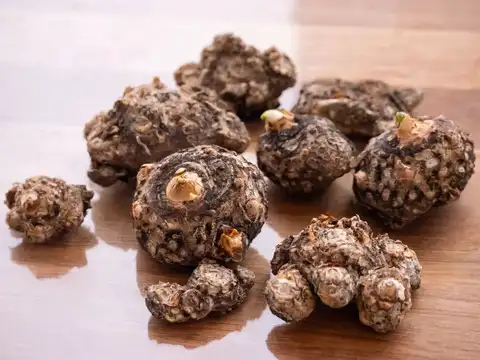 Konjac Root (Shirataki) 