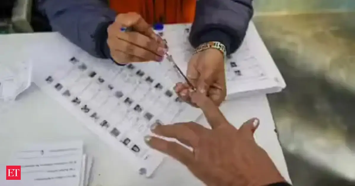 Assembly Election Results 2026: How votes are counted in India; step-by-step process explained