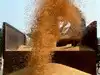 India resumes wheat exports after four years but high prices likely to limit demand