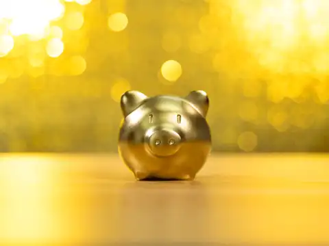 Is interest paid on SGB schemes?