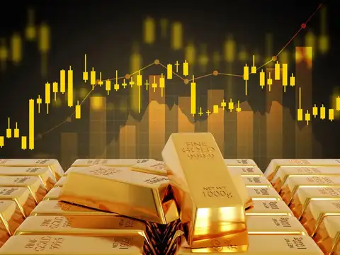 What is a Sovereign Gold Bond (SGB)? Who is the issuer?