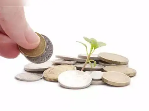 LIC MF Flexi Cap Fund