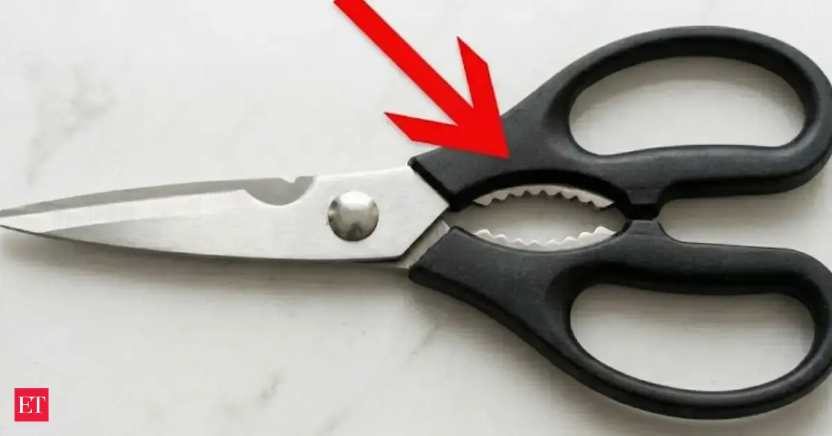 You’ve probably ignored the most useful part of your kitchen scissors ...
