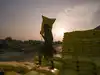 Fertiliser subsidy bill set to overshoot budget estimate of Rs 1.71 lakh cr amid West Asia crisis