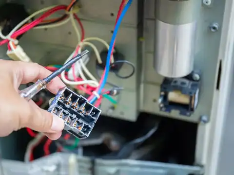 Check the Wiring for "Pests and Pests"