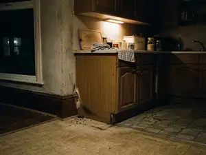 Why That Scratching Sound in Your Wall at Night Is Not What You Think ...