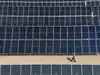 India&rsquo;s grid bottleneck forces ReNew to scale back power generation, limit losses