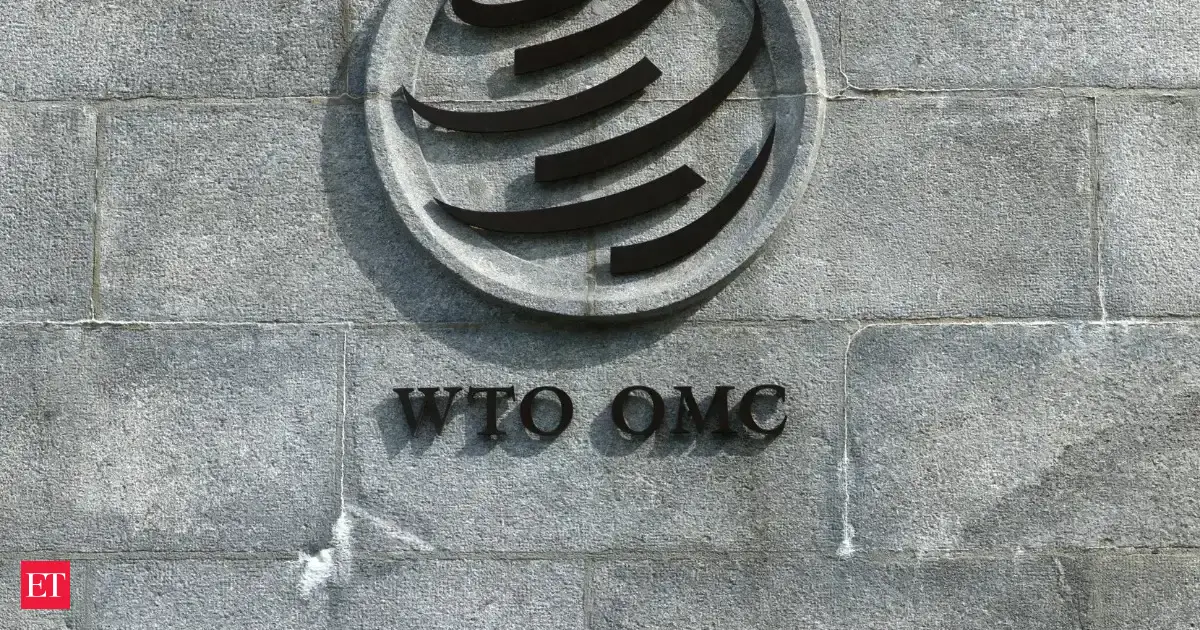 India should adopt dual-track trade strategy at WTO, say experts  m.economictimes.com