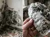 Aluminum foil trick to detect wall dampness: Easy test to spot leaks vs humidity fast