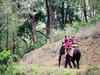 MP govt wants to lease forest patches to private tour operators