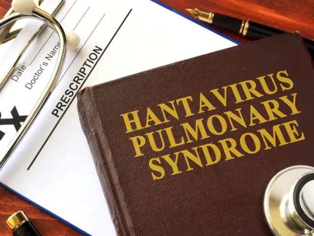 Why can Hantavirus be deadly?