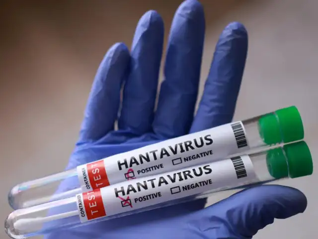 What is Hantavirus?
