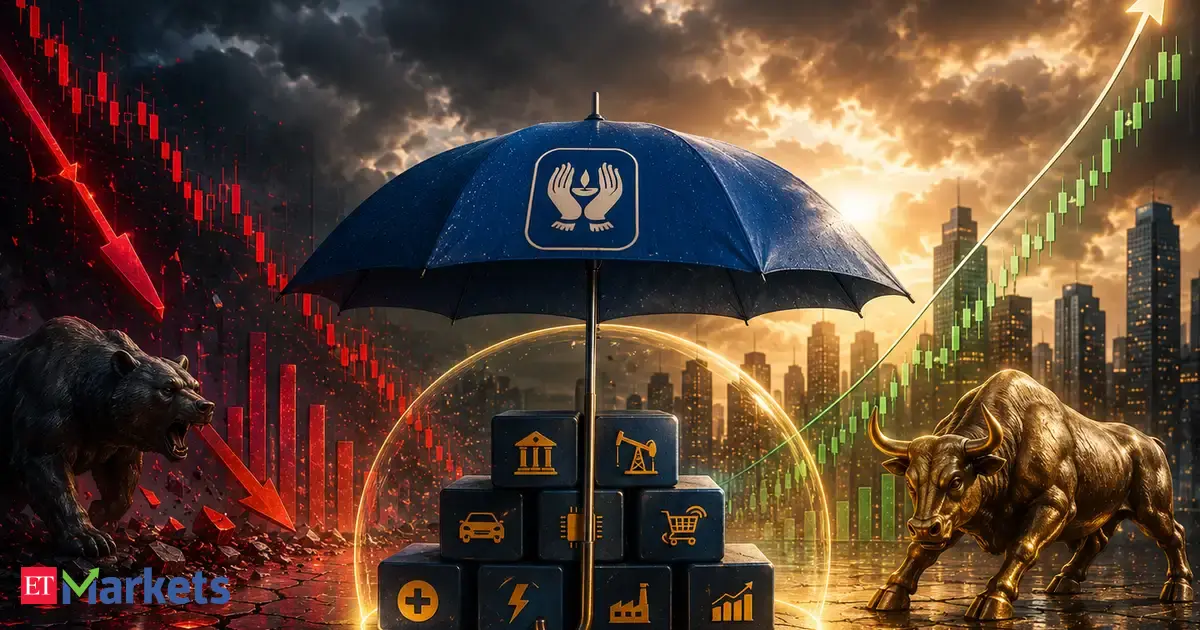 LIC’s $2 billion contrarian bet: 10 stocks the DII giant bought while the market bled