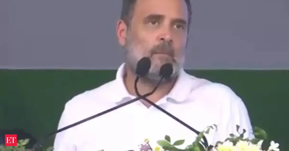 BJP has made a system to 'steal' elections, their time will come, will have to face public anger: Rahul Ga