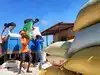 code pillar of fortune roblox News and Updates from The Economic Times ...