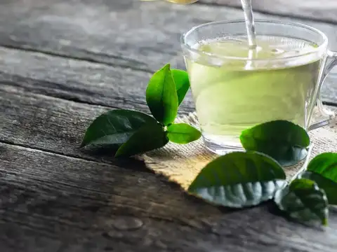 Green Tea