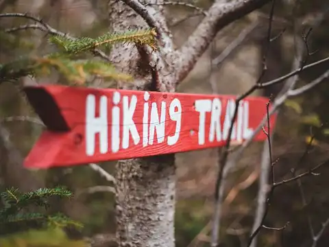 Mount Kilimanjaro Trek, Tanzania