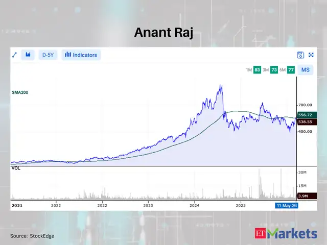 Anant Raj