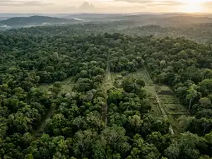 A hidden city grid is emerging beneath tropical forests as laser scans ...