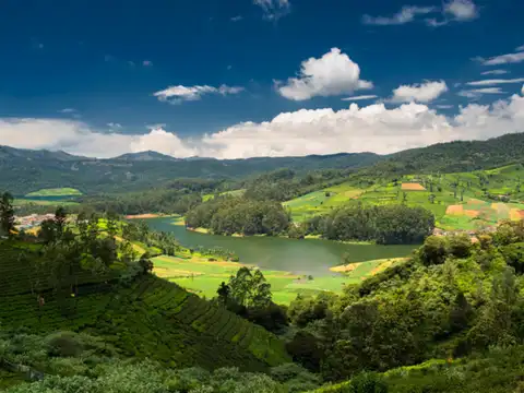 Ooty
